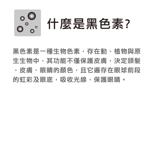 父親節首選-父愛如山-LAVALens_雙倍LightVue鏡片_鈦金屬框/飛行眼鏡/太陽眼鏡_台灣製：圖片 4